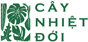 Mẫu website bán cây cảnh – Ninh Bình Web